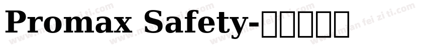 Promax Safety字体转换